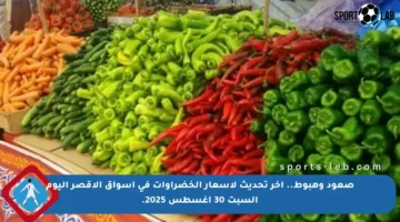 صعود وهبوط.. آخر تحديث لأسعار الخضراوات في أسواق الأقصر اليوم السبت 30 أغسطس 2025.